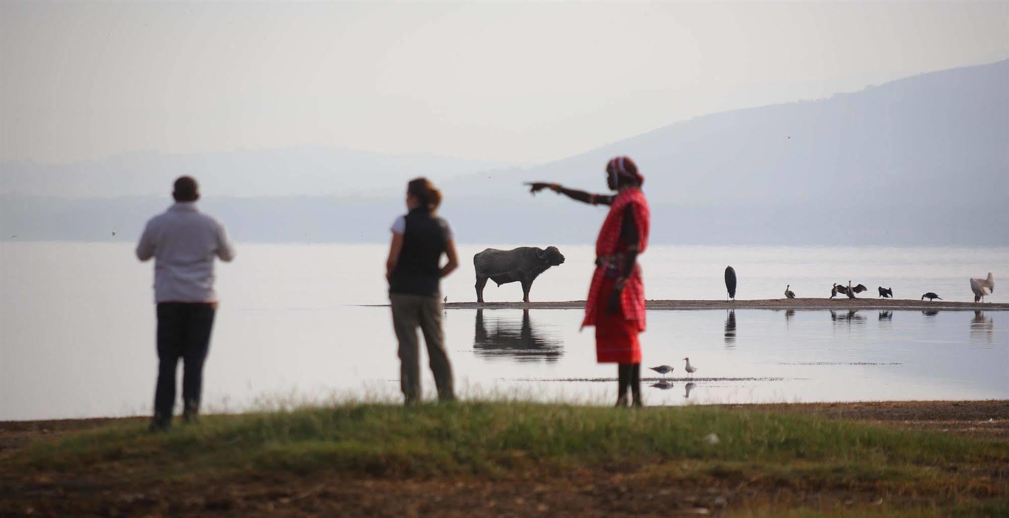 Sarova Lion Hill Game Lodge Νακούρου Εξωτερικό φωτογραφία