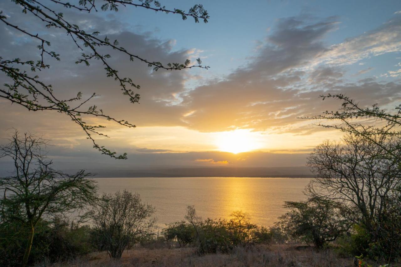 Sarova Lion Hill Game Lodge Νακούρου Εξωτερικό φωτογραφία